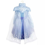 Disfraz Elsa Frozen 2 Disney